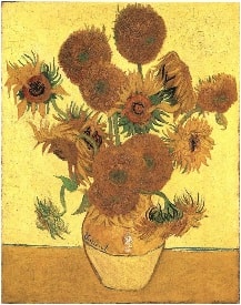 The sunflowers of Van Gogh