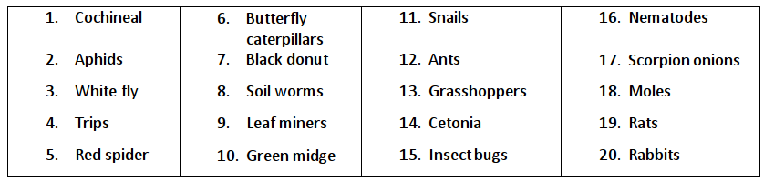 Types of pests